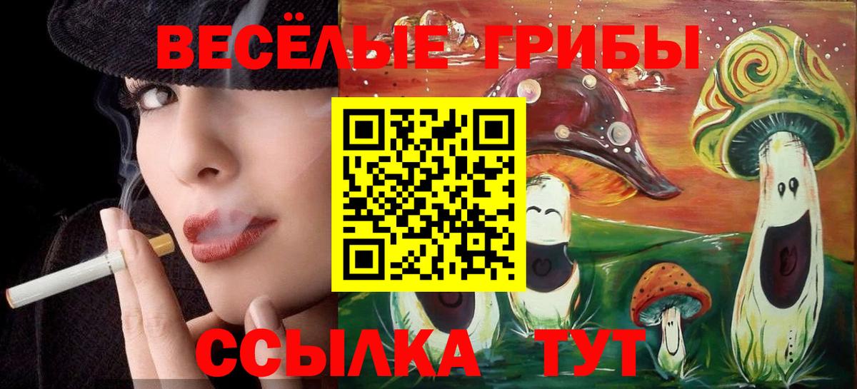 Псилоцибиновые грибы Psilocybe  Псилоцибиновые грибы мицелий  Вход с VPN  Реж 